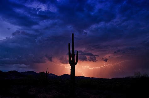 A Sonoran Desert Storm Photograph by Saija Lehtonen