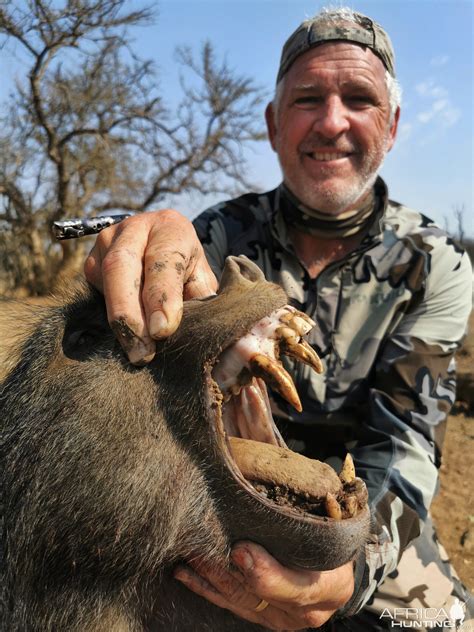 Baboon Bow Hunt South Africa | AfricaHunting.com