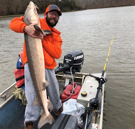 Incredibly Rare Giant Fish Caught in Ozarks, Thrown Back Into Lake ...