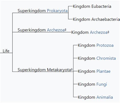 Kingdom Plantae Chart