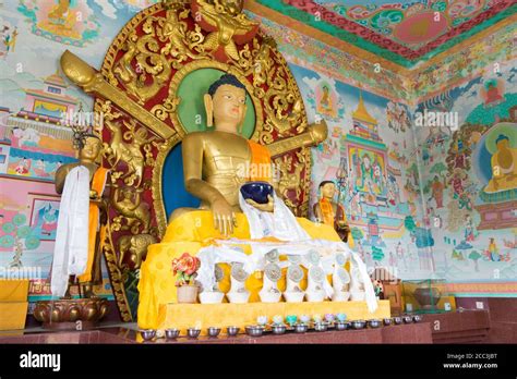 Lumbini, Nepal - Buddha Statue at Manang Sewa Samaji Monastery (Nepal ...