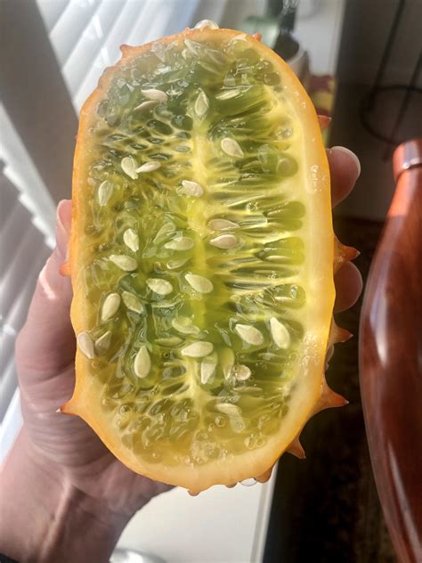 Horned melon : r/fruit