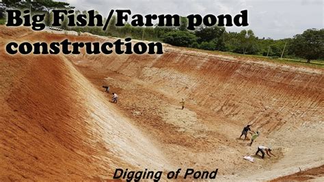 Fish Farming using Rainwater | Farm & Fish pond Construction ...