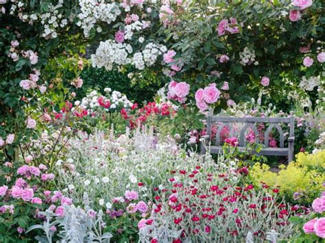 RHS Garden Rosemoor in North Devon - Visit Lynton & Lynmouth