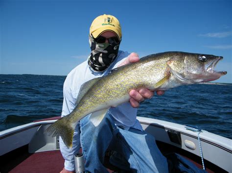 Slab Seeker Fishing: Gear Review: Buff Multifunctional Headwear