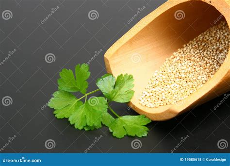 Quinoa seeds stock image. Image of healthy, wood, gastronomy - 19585615