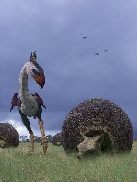 Phorusrhacos and Doedicurus Prehistoric Wildlife, Prehistoric World ...