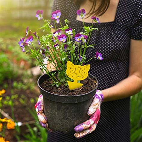 48 Pieces Sticky Traps for Plants Fruit Fly and Fungus Gnat Trap Killer Indoor and Outdoor, Gnat ...