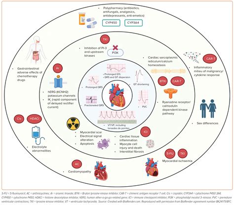 Figure 1: Primary and Secondary Factors Associated with Ventricular Arrhythmias in Cancer ...