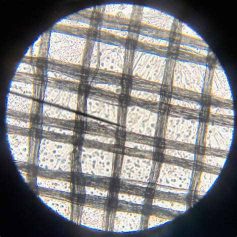 Silk under a microscope