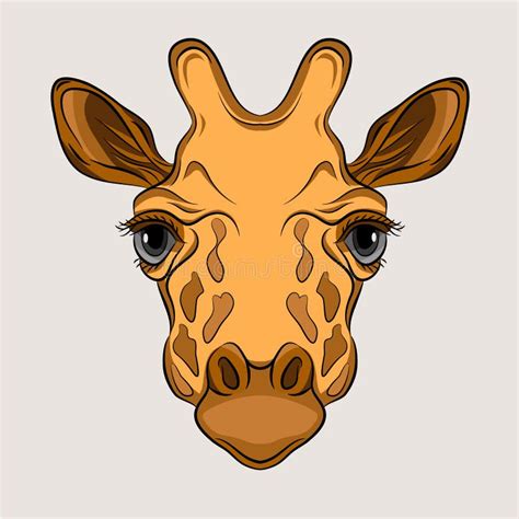 Giraffe Head Face Realistic Stock Vector - Illustration of fauna, africa: 73558857