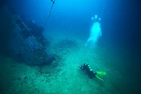 Most Valuable Ocean Treasure Ever Discovered - American Oceans