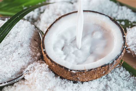 Coconut milk: How to make raw sattvic coconut milk