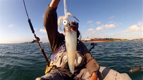 Cornish Shore and Kayak Fisherman: Squid Fishing - SQUID QUEST - Catch ...