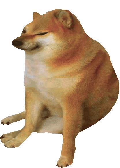 Bonk It Online 💥 | Doge Much Wow