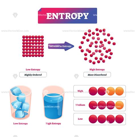 Entropy vector illustration explanation diagram | Teaching chemistry, Entropy chemistry ...