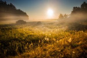 Scenic sunrise over a lovely meadow Royalty-Free Stock Image - Storyblocks