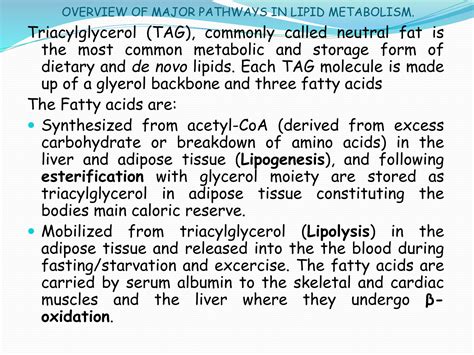 SOLUTION: Lipid metabolism ppt - Studypool