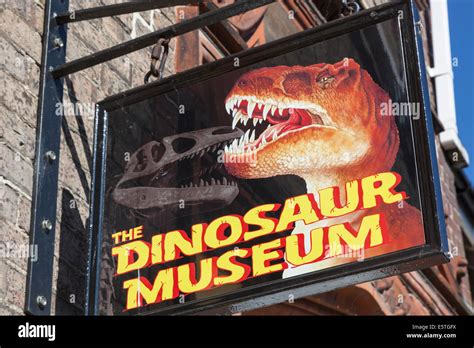 England, Dorset, Dorchester, Dinosaur Museum Sign Stock Photo - Alamy