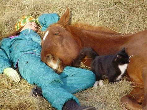 tooooo cute! | Horses, Funny animals, Horse love