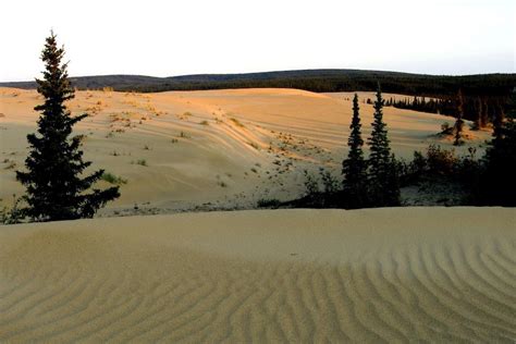 Kobuk Valley National Park: Digging Into Mother Nature's Sandbox