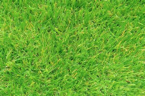 Premium AI Image | Natural Grass Texture Background