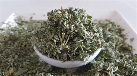 Catnip Tea Is Your Cure For Migraines, Anxiety, And Insomnia