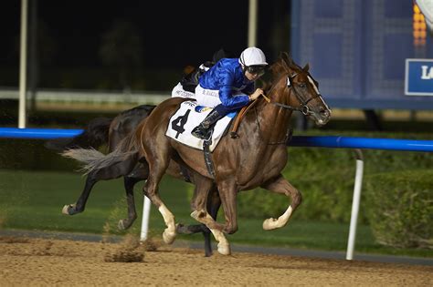 Godolphin Flexes With Five Wins at Meydan Carnival