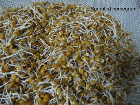 How to sprout Green Gram /Horse Gram/pulses | Geeths Dawath