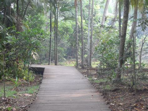 Pulau Ubin Chek Jawa Day Trip!