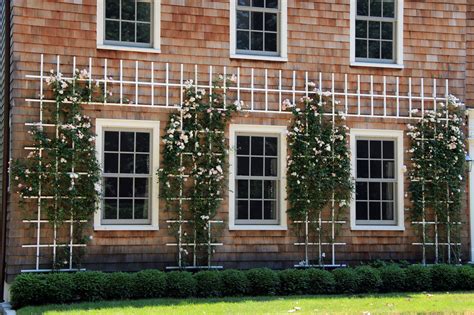 15 Most Magnificent Climbing Rose Trellis Ideas to Add Drama in Your ...