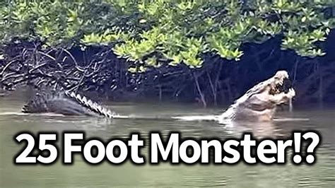 Giant Crocodile Seen in India, Port Blair Giant - YouTube