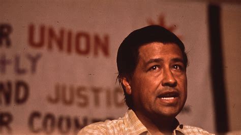 Cesar Chavez Quotes | Sample Posts