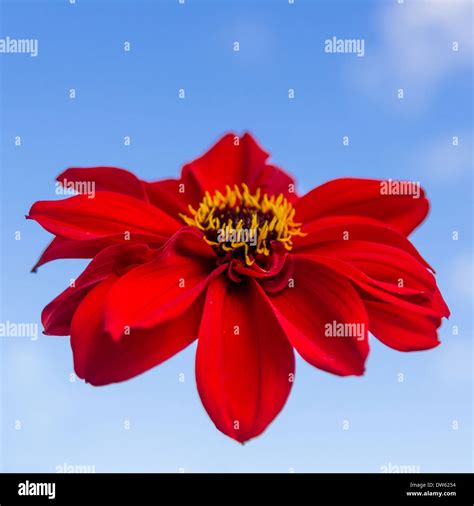 Floating head hi-res stock photography and images - Alamy