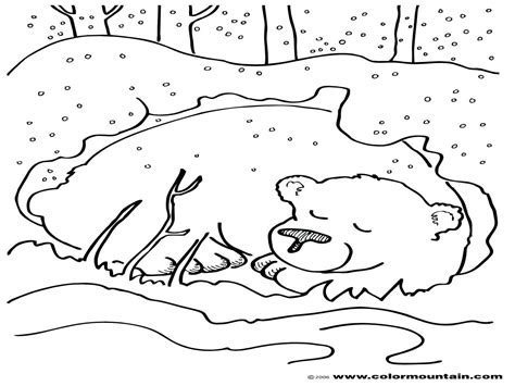 Hibernating Bear Coloring Page at GetColorings.com | Free printable ...