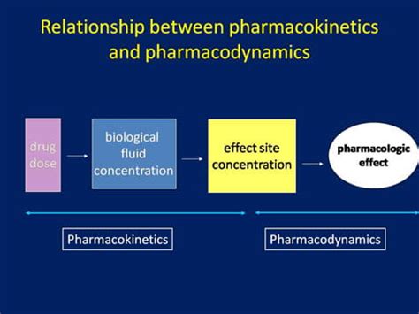 Use of Pharmacokinetic/Pharmacodynamic Parameters to Optimize the Use of Antibiotics