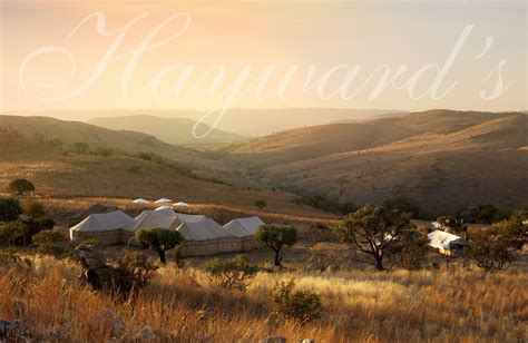 The Hayward's Gin Tent looking out over the Cradle of Humankind, Muldersdrift, South Africa ...