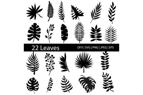 Tropical Leaves Silhouette Clip Art Graphic by MeshaArts · Creative Fabrica