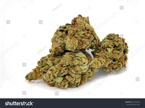 Marijuana Weed Bud Isolated Close Stock Photo 675944500 | Shutterstock