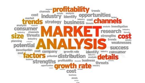 Market Analysis Tools and Techniques Every Marketer Should Know