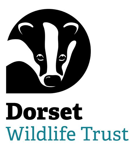 Young Conservationists Activity Group - Dorset Heaths Partnership