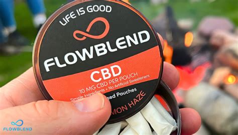 Kicking The Habit: Tobacco & Nicotine Free Dip And Chew Alternatives - FlowBlend