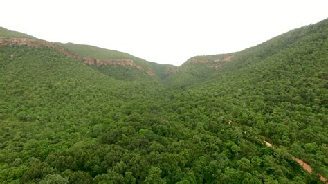 aerial view of rainforest jungle in India. Stock Video Footage - Storyblocks