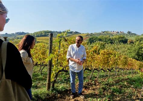 My Favorite Wine Tours in Tuscany - from Florence, Siena, & Rome