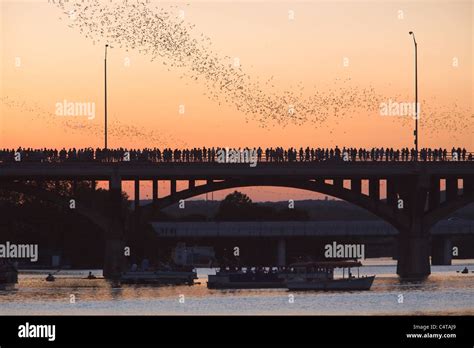 Austin, Texas Congress Bridge Bats Stock Photo - Alamy