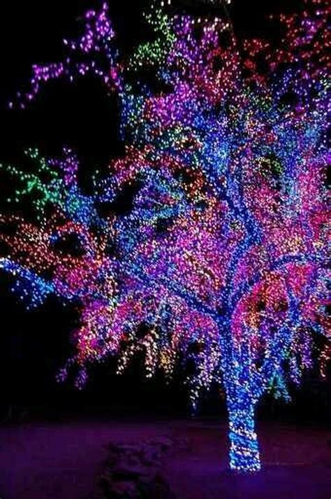 30 Outdoor Christmas Lights Decoration Ideas - Decoration Love
