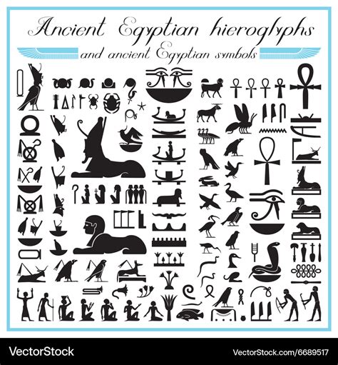 Ancient egyptian hieroglyphs and symbols Vector Image