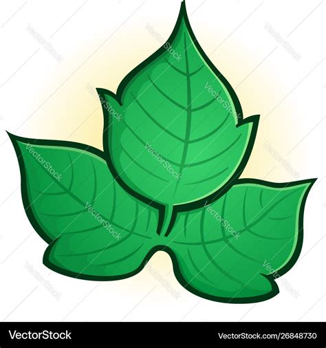 Poison ivy cartoon Royalty Free Vector Image - VectorStock