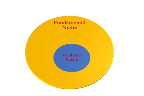 Concept of Ecological Niche and Species Distribution Model