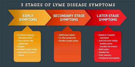 Late Stage Chronic Lyme Disease - LymeTalk.net